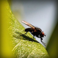 /album/bradovwebli/photolia-a04-jpg/