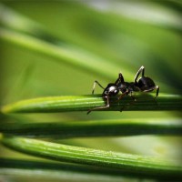 /album/bradovwebli/photolia-a05-jpg/