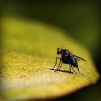 /album/bradovwebli/photolia-a07-jpg/